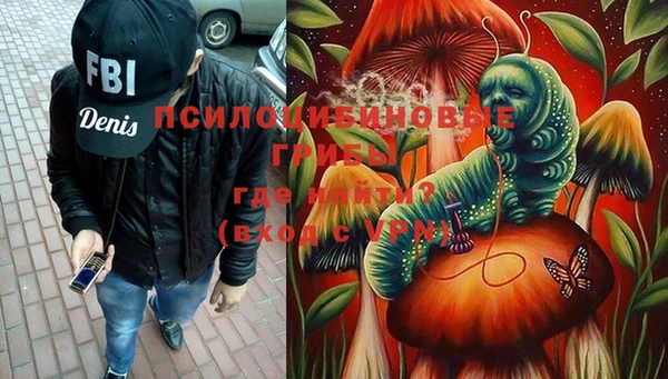 соль ск Вязьма