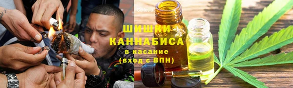 соль ск Вязьма