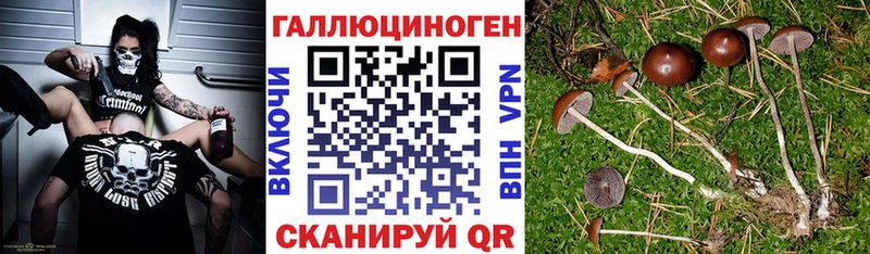 Псилоцибиновые грибы мухоморы  наркошоп  Ногинск 
