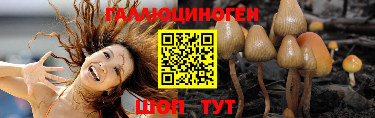 Ногинск  Псилоцибиновые грибы Psilocybe  Вход с VPN  Псилоцибиновые грибы Cubensis 